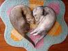     
: love.jpg
: 863
:	50.2 
ID:	1