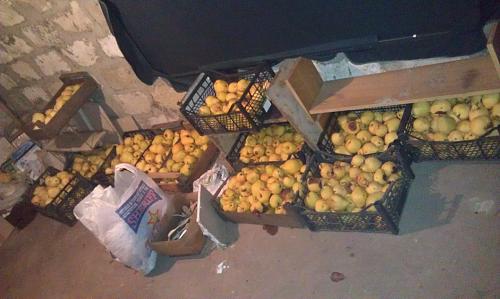    
: Grushi_hranenie.jpg
: 1649
:	72.3 
ID:	1435