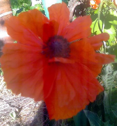     
: Mak.jpg
: 1350
:	33.9 
ID:	1454
