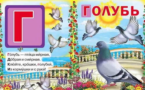     
: Zhivaya_azbuka_Golub.jpg
: 78
:	93.7 
ID:	1648