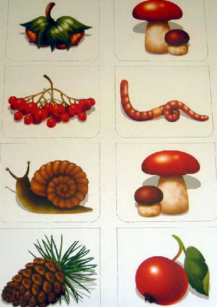 : ugadaj_po_teni_2.jpg
: 397

: 53.2 