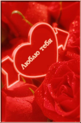 : valday03.jpg
: 1464

: 37.8 