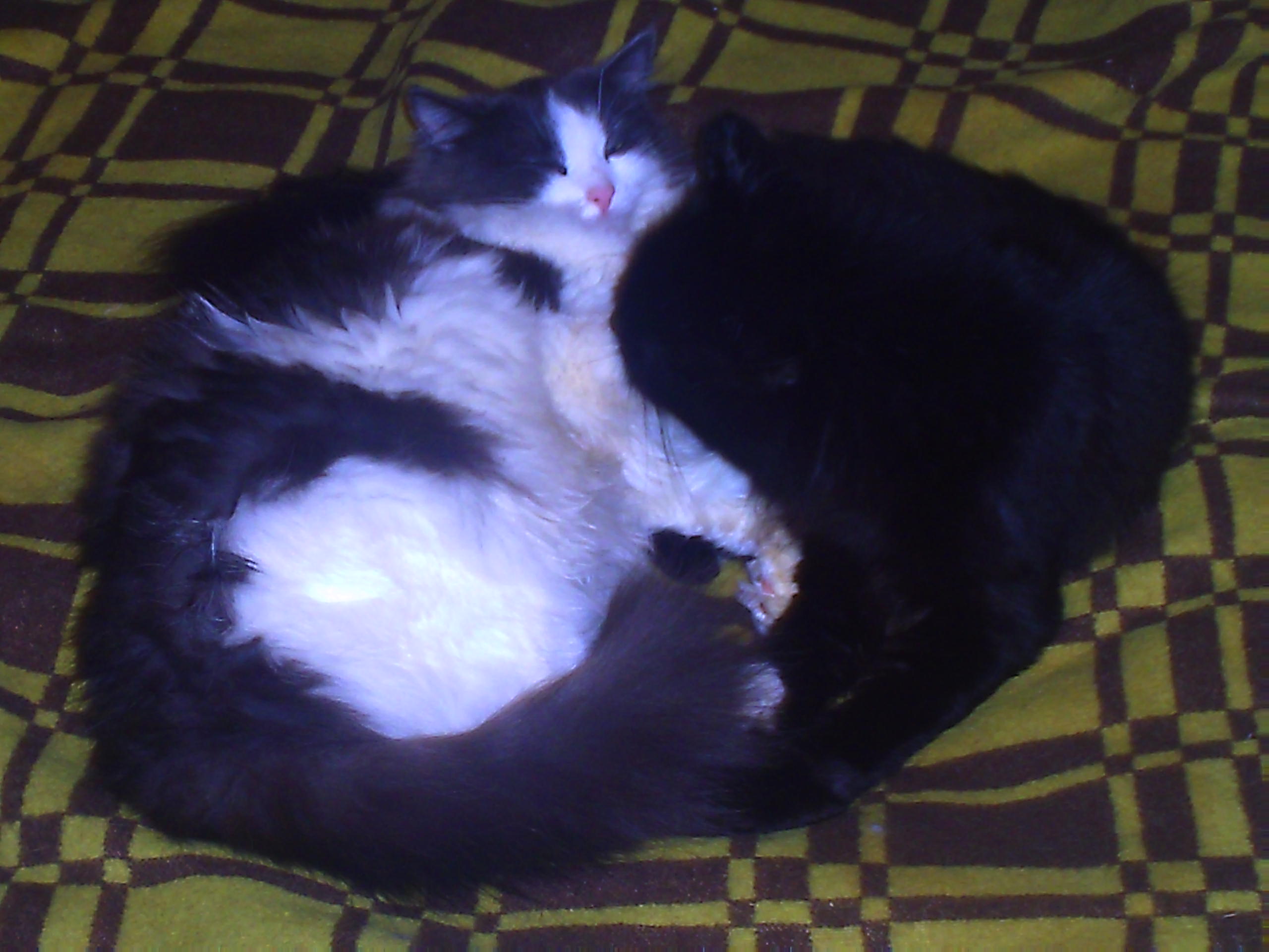    
: PICT0027.jpg
: 557
:	62.3 
ID:	231