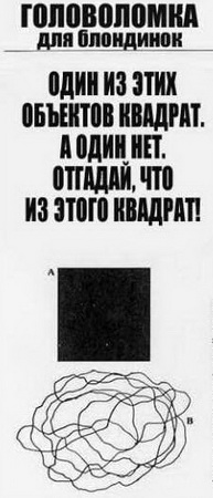 : blondinka_kvadrat.jpg
: 1096

: 34.4 