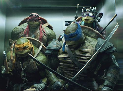     
: Teenage Mutant Ninja.jpg
: 904
:	93.9 
ID:	603