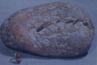 : unikalniy-yantar.jpg
: 717

: 27.6 