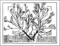 Название: Оптический видоискатель с разметкой границ кадра.jpg
Просмотров: 6315
Размер: 10.5 Кб