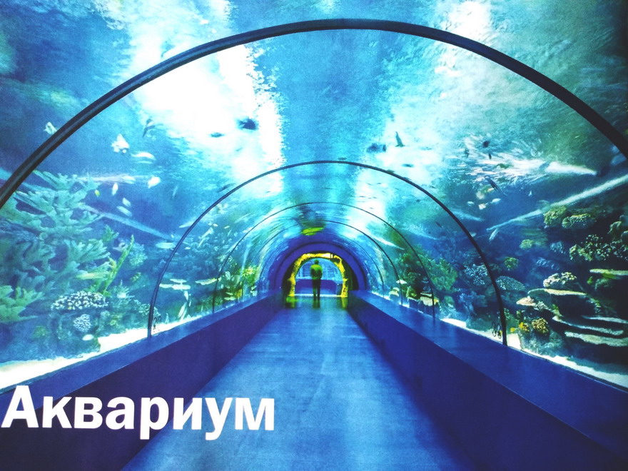 Название: Аквариум в Турции.jpg
Просмотров: 456
Размер: 204.4 Кб