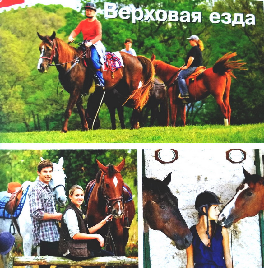 Название: Катание на лошадях в Турции.jpg
Просмотров: 1113
Размер: 271.8 Кб