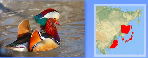 Название: МАНДАРИНКА.jpg
Просмотров: 419
Размер: 44.9 Кб